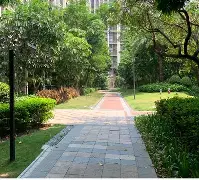 贝博体育- 竹节人课后第三题答案 